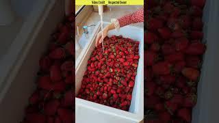 This girl made strawberry jam