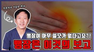 맹장수술 함부로 한다면 당신의 이 건강은 치명적으로 위험합니다(ft. 외과의사가 알려주는 맹장의 비밀)