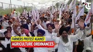 Punjab, Haryana farmers protest against new agriculture ordinances