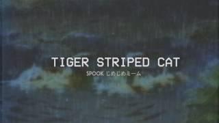 Tiger Striped Cat