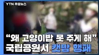 "왜 고양이 밥 못 주게 해?"...국립공원에서 캣맘 행패 / YTN