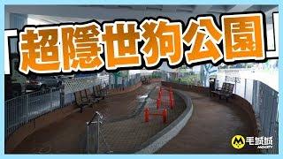 【十八區狗公園】 筲箕灣東喜道休憩處寵物公園