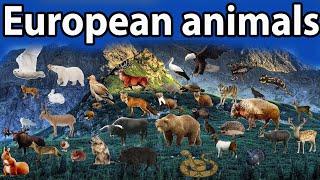 "European Animals Size Showdown 2022: Height, Length & Weight Comparison"