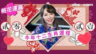 【2021牛年運程】雲文子12生肖︰桃花運篇｜she.com