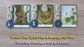 Which Tree Spirit is guiding youwith extra information to help you connect with your sacred tree!