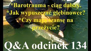 Q&A odcinek 134 - Jak wypuszczać ryby z głębokiej wody?