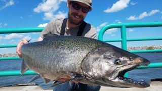 Lake Michigan Pier Fishing - King Salmon