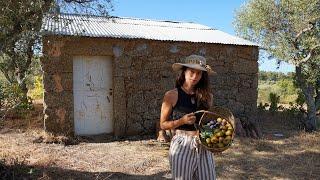 Life in a PORTUGUESE VILLAGE OFF-GRID HOMESTEAD | Farm Life