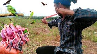 Excellent hand hunting 3 colorful birds - delicious food || Thai S