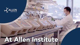 At Allen Institute