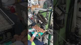 Winding the string inside a Kookaburra cricket ball | Kookaburra Cricket