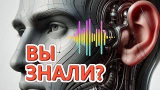 Шепот блондинки или брюнетки? Почему УШИ такие странные? Наш звуковой навигатор