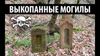 Коп в лесу, заброшенное кладбище