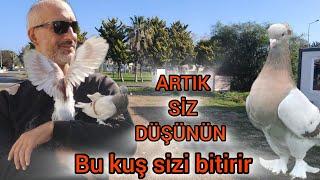 YARIŞ YARIŞ DEDİNİZ HADİ BUNUNLA YARIŞIN  YARIŞMA KUŞU BELLİ