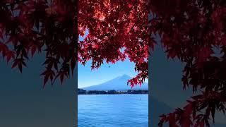 Mount Fuji Japan in Autumn #mtfuji #富士山 #japan #autumn