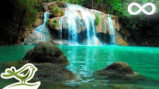 Relaxing Zen Music with Water Sounds • Peaceful Ambience for Spa, Yoga and Relaxation