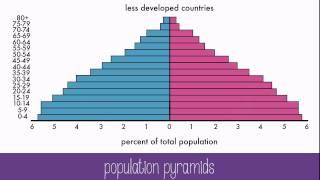 Population Dynamics