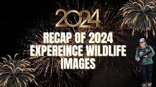 Experience Wildlife 2024 Image Recap