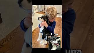 More Than "Just" a Stuffed Animal | MyPetsies©