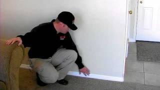 Termite Control : Signs That a Home Has Termites