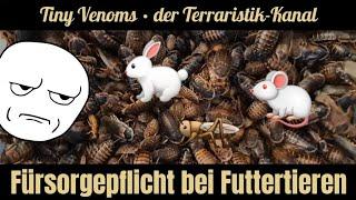 Umgang mit Futtertieren und das asoziale Verhalten in der Terraristik - Eine Bitte!