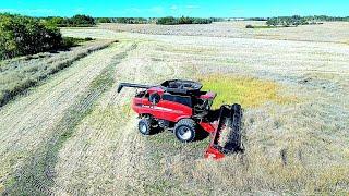 Wrapping up the canola and moving onto soybeans!! The home stretch!