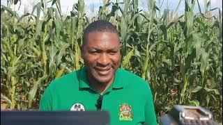Goshen Farm in Malawi owned by Shepherd Bushiri aka Major 1 #foodsecurity #agriculture #megafarms