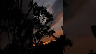 Mesmerizing Evening  #santhuzen #evening #eveningsky #shorts #shortvideo #naturephotography #short