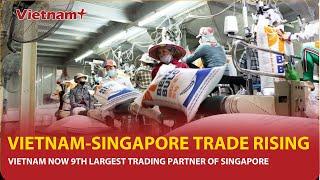 Vietnam now 9th largest trading partner of Singapore | Vietnam Plus