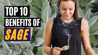 Top 10 Health Benefits of Sage - Nature's Medicinal Herb