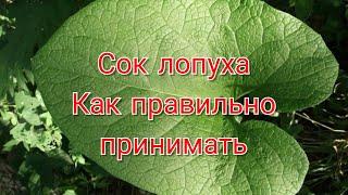 сок лопуха польза и применение/ Павел Литовкин/ Медовик Травник