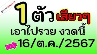 ห้ามพลาด ! ได้ เลข 1 ตัว เสียวๆๆ เอาไปลุ้น เลย งวดนี้ 16/ต.ค./2567