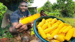 YOUNG FARMER MAKES HUGE IMPACT IN ST VINCENT