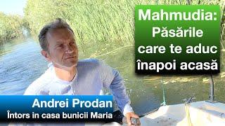 Andrei si păsările care te aduc acasa. Inca un episod din "Dă-mi un motiv!"