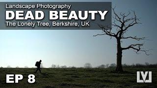 Landscape Photography - Fujifilm GFX + The Lonely Tree