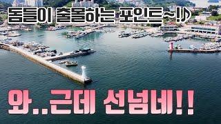 통영은 여기!! 감성돔, 돌돔, 참돔, 갑오징어 낚시포인트 견유방파제~