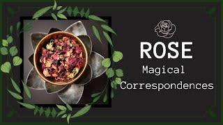 Rose Correspondences & Uses In Magical Practice |  Rosa Spp. | Witchcraft