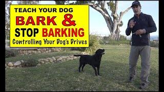 Teach Your Dog to BARK - Teach Your Dog to STOP Barking - Build Drive - Dog Training Video