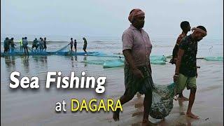 Fishing At Dagara Sea Beach | Art | Culture | Travel | Baliapal | Odisha