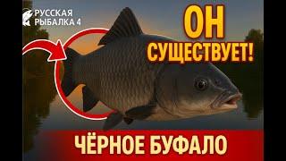 Фармим на Ахтуба, дальше медное! Live - t.me/RR4Chicken