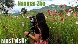 Naamai Zho/Valley of Cosmos #manipur #Naamaizho #besttouristplaceinindia #nature #flowers #cosmos