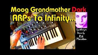 Moog Grandmother Dark ARPs to Infinity Analog Synthesizer Rik Marston