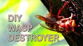 How To Get Rid Of Wasps