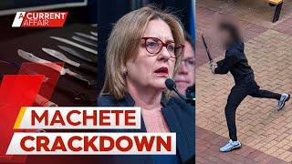 Extraordinary ban placed on machetes after shopping centre brawl | A Current Affair