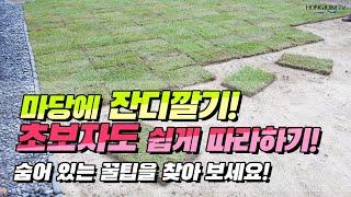 마당에 잔디깔기! 초보자도 쉽게 따라하기.. 숨어 있는 꿀팁을 찾아 보세요 / Laying the lawn in the yard