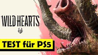 WILD HEARTS - PS5 Vollversion im TEST ! IST es DAS erwartete TOPSPIEL ?!?