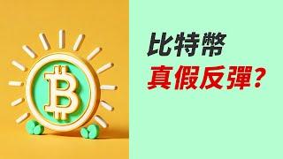 BTC真反彈？假反彈？！跌到哪做多？