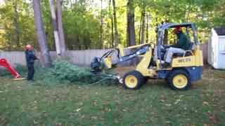 CMC 83HD+ Arbor Pro & WL 25 - Backyard Tree Removal