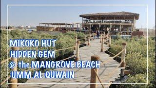 MIKOKO HUT - the MANGROVE BEACH UMM AL QUWAIN | HIDDEN GEM IN UAE