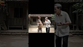 Ông Lão Và Capybara - Capy nghỉ dưỡng giữa đồng #veo3 #viral #viralvideo #viralshorts